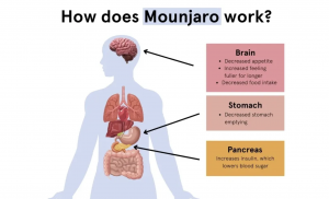 How Does Mounjaro Work